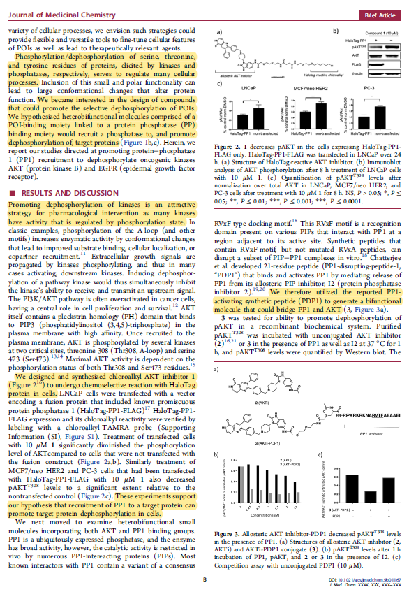 EvanJCarder's tweet photo. The phosphorylation status of a protein can directly influence its function. As an initial study, @genentech demonstrated the use of targeted heterobifunctional molecules that direct phosphatase mediated protein dephosphorylation. Very cool! Check it out! https://t.co/F8ZNJQ5nBr https://t.co/YKhcEPnVSb