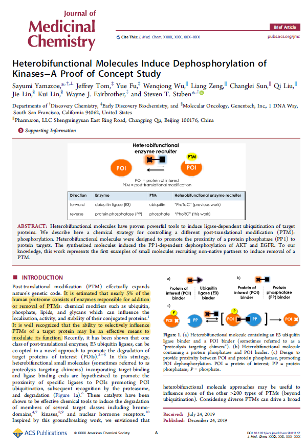 EvanJCarder's tweet photo. The phosphorylation status of a protein can directly influence its function. As an initial study, @genentech demonstrated the use of targeted heterobifunctional molecules that direct phosphatase mediated protein dephosphorylation. Very cool! Check it out! https://t.co/F8ZNJQ5nBr https://t.co/YKhcEPnVSb