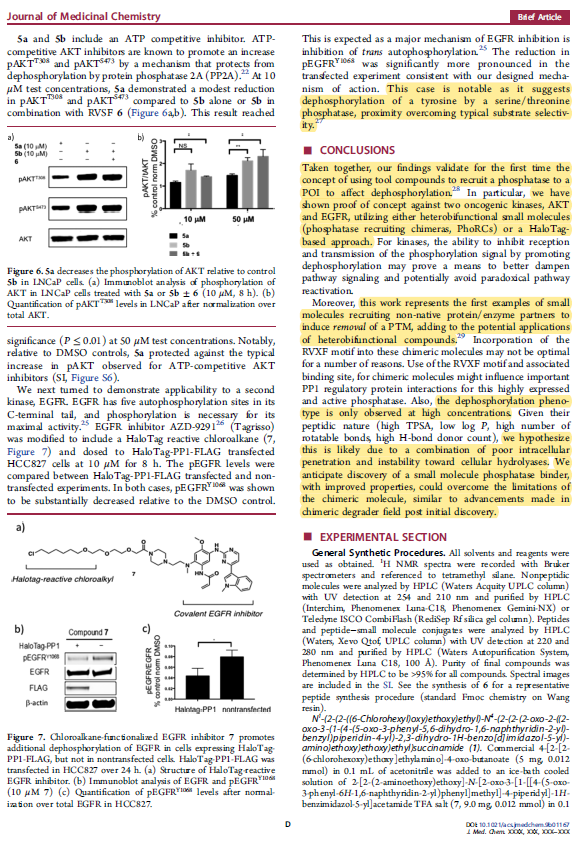 EvanJCarder's tweet photo. The phosphorylation status of a protein can directly influence its function. As an initial study, @genentech demonstrated the use of targeted heterobifunctional molecules that direct phosphatase mediated protein dephosphorylation. Very cool! Check it out! https://t.co/F8ZNJQ5nBr https://t.co/YKhcEPnVSb