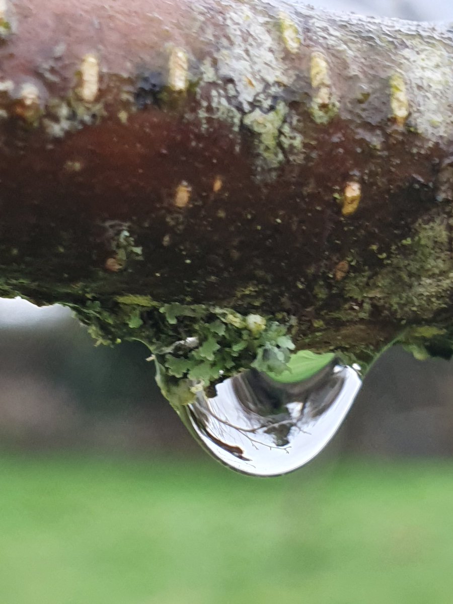 Callie (@calli) on Twitter photo 