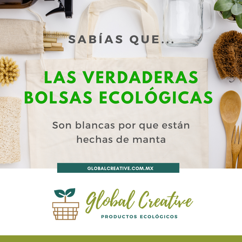globalcreativmx's tweet photo. El color verde usado en bolsas de tela como "emblema ecológico" se produce con una gran variedad de sustancias. Lo cuál puede que estas no sean 100% ECOLÓGICAS. 🌿
#Productos #Biodegradables #GlobalCreative https://t.co/HXx9FGla2f