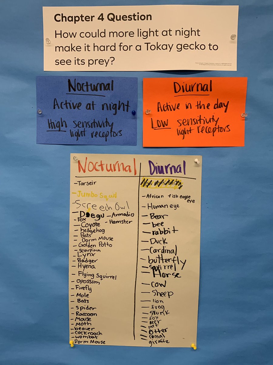 TanazBruna's tweet photo. Nocturnal or diurnal? #scientificquestions @Amplify #tulitarocks https://t.co/s6oAH1Z5Zo