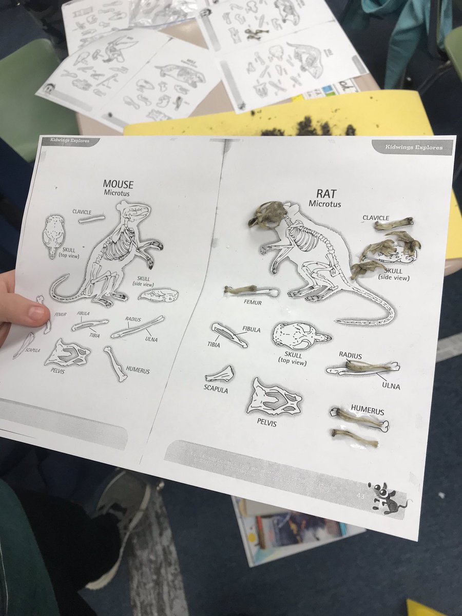 Marisa Jackson, M.Ed. tweet media