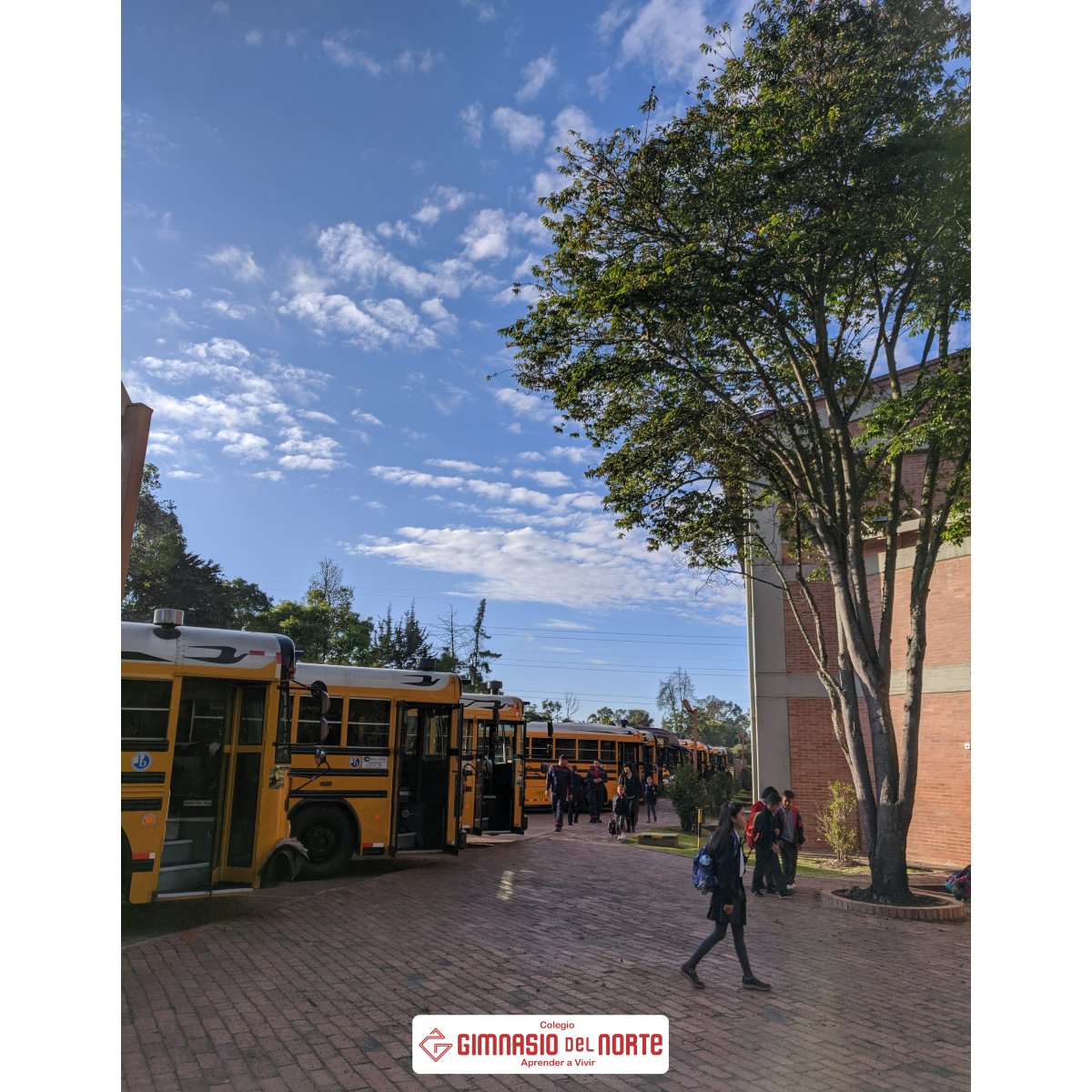 gimnorte's tweet photo. Welcome Back to School!

Our community began classes today after spending Christmas holidays with family and friends. We have arrived reloaded and highly motivated to begin this 2020 on the right track! Best wishes to everyone.

#BackToSchoolGN #BilingualSchoolBogota https://t.co/IemMjfW3Nk