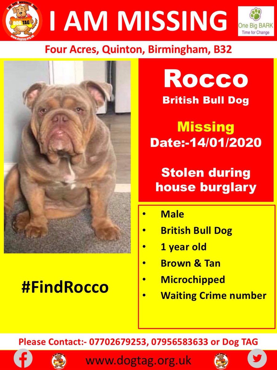 DogTAGMids's tweet photo. .@Socialism4Jobs Pls RT #FindRocco &amp; #FindRemy #stolen during burglary in #Quinton #Birmingham #MakeTooHotToHandle https://t.co/inQfR0ffS9