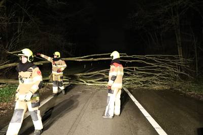 Boom waait om en valt op weg bij knooppunt Ressen
gelderlander.nl/lingewaard/boo…