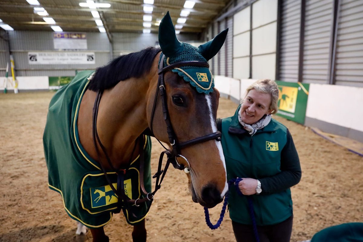 Leinster Showjumping tweet media