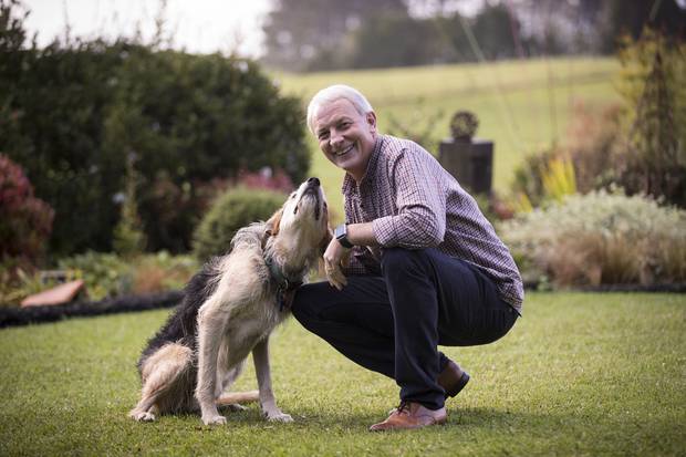 huntaway beardie cross