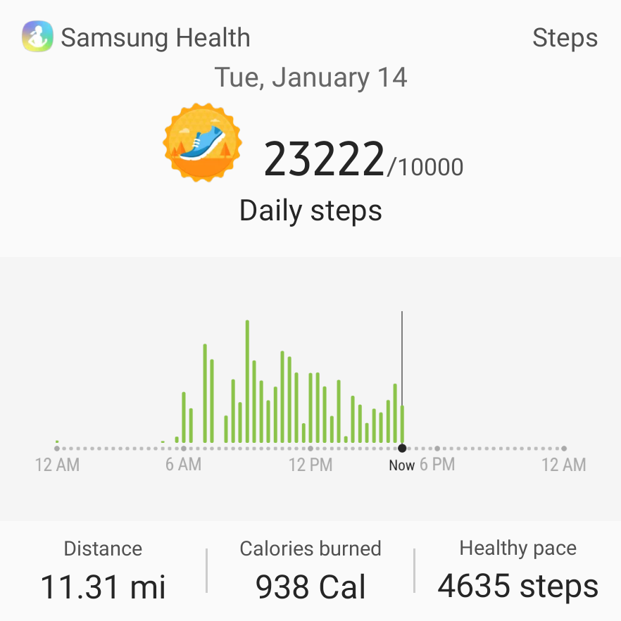 themeparkjunkee's tweet photo. Steps so far today https://t.co/UNoyjDSioQ