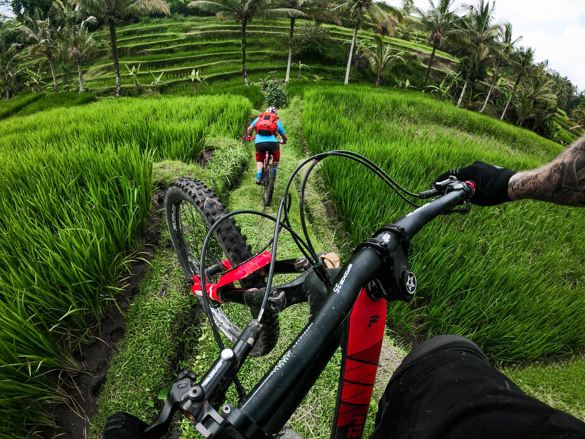 Gopro Pa Twitter Living Fast Upload Your Content On The Go With Unlimited Cloud Storage From Goproplus Free 30 Day Trial T Co Bzbm0hkuab Photo By Goproathlete Geoffgulevich Of Darenberrecloth In Indonesia Gopromtb Gopro Gopro Pa Twitter Living Fast Upload Your Content On The Go With Unlimited Cloud Storage From Goproplus Free 30 Day Trial T Co Bzbm0hkuab Photo By Goproathlete Geoffgulevich Of Darenberrecloth In Indonesia Gopromtb Gopro