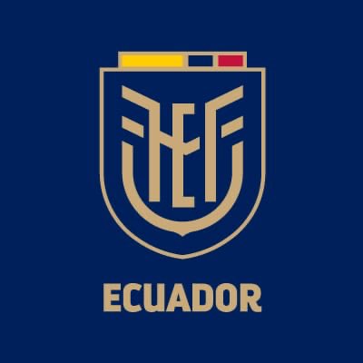 artumoscoso's tweet photo. ¿Sí se dieron cuenta que el cóndor está entre las letras? #TransformacionFEF #LogoFEF https://t.co/e1jQGq0CTL