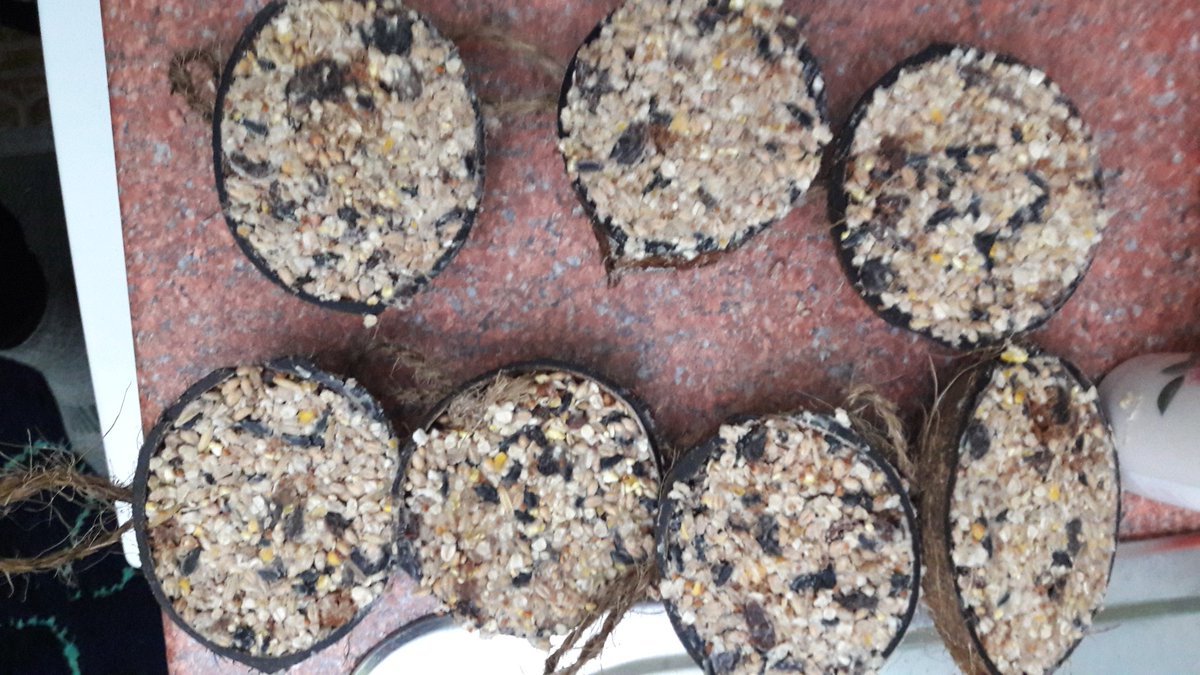 johnfisher376's tweet photo. Me and my little helper Rupert,  just made our first batch of #suet  #fatballs #fatfeeders #feedthebirds #birdwatching #wildlife_uk https://t.co/wpg4yTfXat