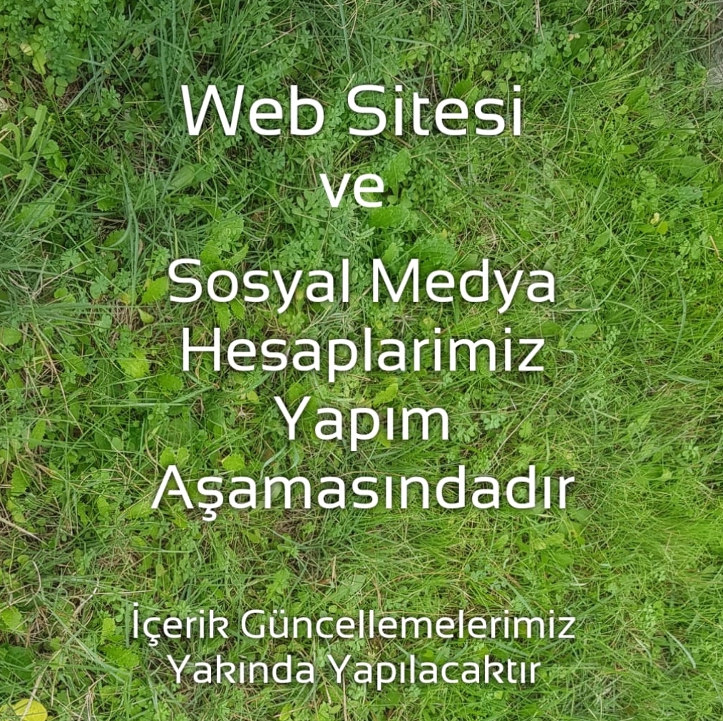 Web sitemiz ve sosyal medya hesaplarımız yapım aşamasındadır. İçerik güncellemelerimiz çok yakında gerçekleştirilecektir.

#Permakültür #PermakültürTasarımcılarıDerneği
#Permakultur #PermakulturTasarimcilariDernegi