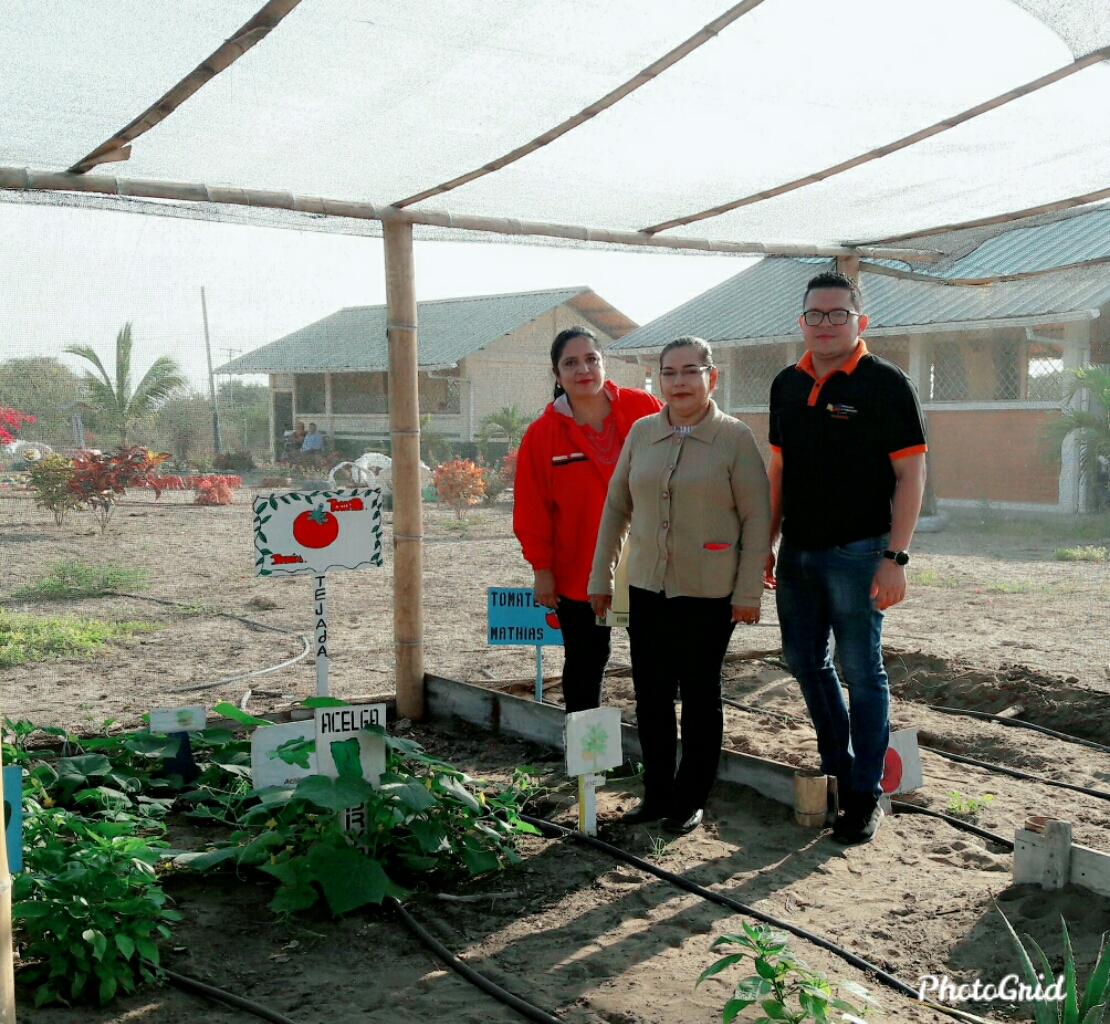 DeysyChamba's tweet photo. Hoy|Ralizamos visita de territorio a la Escuela Provincia de Pichincha en la Isla las Huacas Parroquia Jambelí, con el objetivo de coordinar actividades con Directivos y Docentes, Distrito Educativo #07D06 Santa Rosa
@magdasalazarg https://t.co/rJJKgMVQ5o
