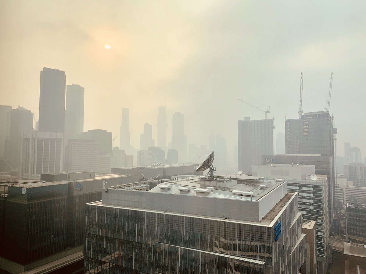 Wallis North 🇦🇺 tweet media