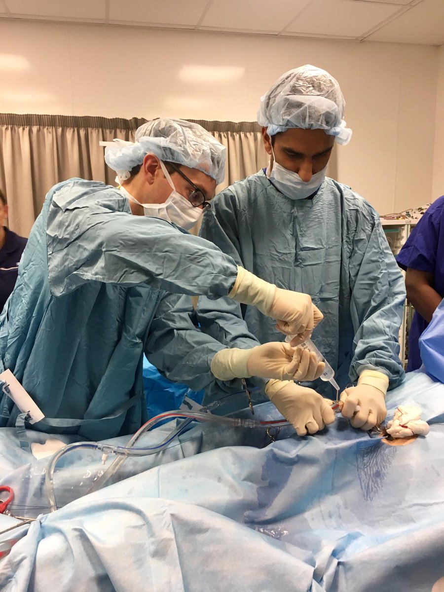 WythenshaweECMO's tweet photo. ECMO course at Wythenshawe Hospital in full swing today with the simulator sessions this afternoon #ECMOManchester #simulatorsessions #handsonlearning https://t.co/BfWB4k2z82