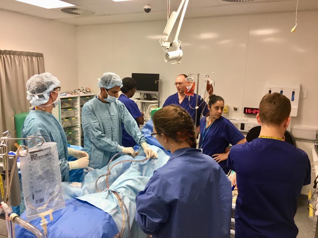 WythenshaweECMO's tweet photo. ECMO course at Wythenshawe Hospital in full swing today with the simulator sessions this afternoon #ECMOManchester #simulatorsessions #handsonlearning https://t.co/BfWB4k2z82
