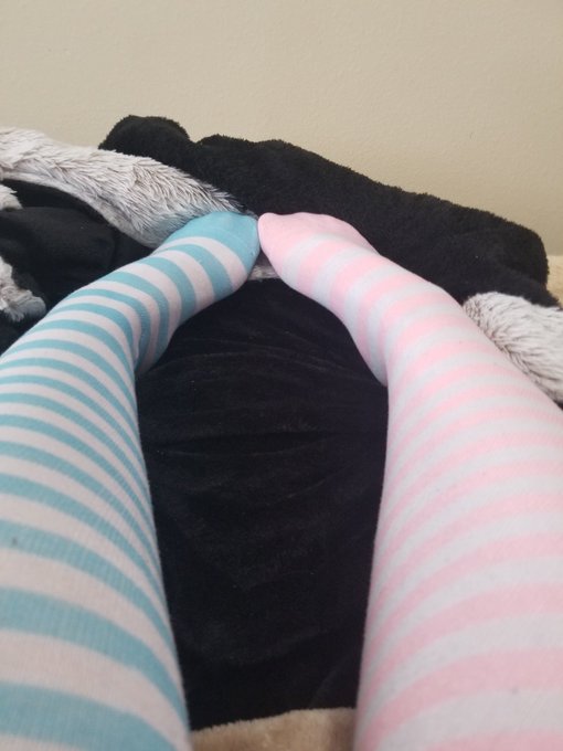 I really love the new socks I got sent to me from my wishlist!! 🥰😘❤ https://t.co/0E5giHsMoO<a href="/tag/ass"class="tags"><span>#ass</span></a><a href="/tag/thickgirl"class="tags"><span>#thickgirl</span></a><a href="/tag/thickwomen"class="tags"><span>#thickwomen</span></a><a href="/tag/thickchicks"class="tags"><span>#thickchicks</span></a><a href="/tag/bigasses"class="tags"><span>#bigasses</span></a>