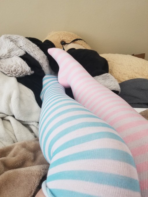 I really love the new socks I got sent to me from my wishlist!! 🥰😘❤ https://t.co/0E5giHsMoO<a href="/tag/ass"class="tags"><span>#ass</span></a><a href="/tag/thickgirl"class="tags"><span>#thickgirl</span></a><a href="/tag/thickwomen"class="tags"><span>#thickwomen</span></a><a href="/tag/thickchicks"class="tags"><span>#thickchicks</span></a><a href="/tag/bigasses"class="tags"><span>#bigasses</span></a>