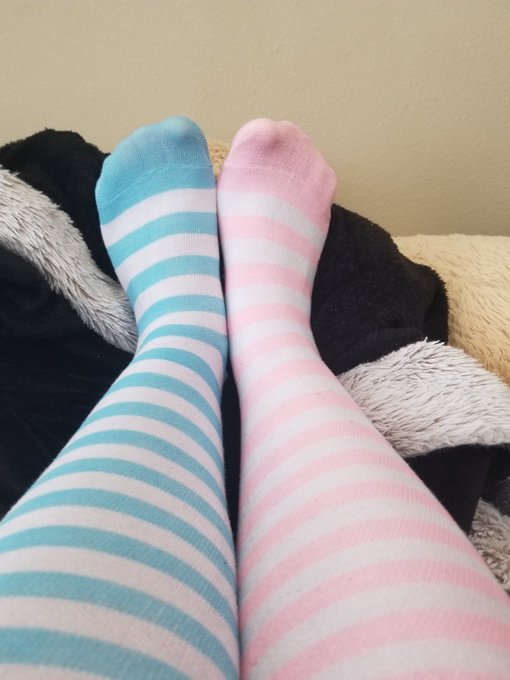 I really love the new socks I got sent to me from my wishlist!! 🥰😘❤ https://t.co/0E5giHsMoO<a href="/tag/ass"class="tags"><span>#ass</span></a><a href="/tag/thickgirl"class="tags"><span>#thickgirl</span></a><a href="/tag/thickwomen"class="tags"><span>#thickwomen</span></a><a href="/tag/thickchicks"class="tags"><span>#thickchicks</span></a><a href="/tag/bigasses"class="tags"><span>#bigasses</span></a>