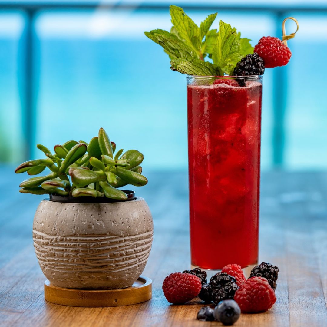 Okay, the holidays are over...time to add more fruit to your diet! 
😂

#solemiami #floridalife #miami #sunnyislesbeach #baleenkitchenmiami #thirsty  #cocktails #drinkspiration #drink #cocktail #mixology  #drinksporn #mixologist #craftcocktails #startliving #noblehousehotels.