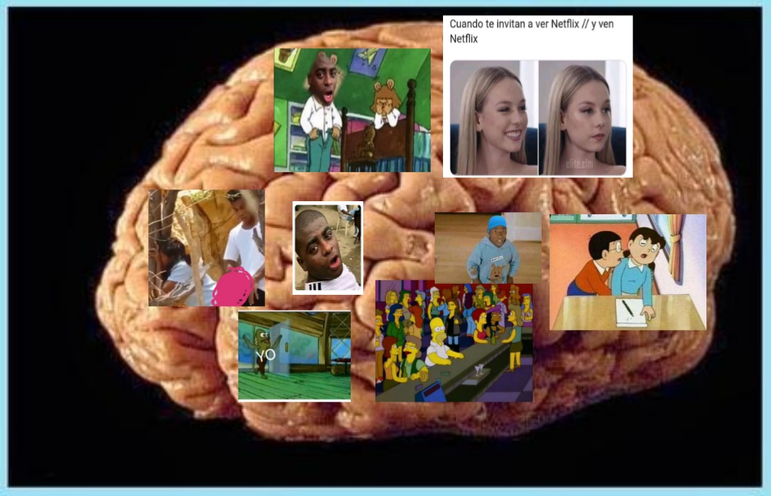 guahineitor's tweet photo. Mi profesor :
Espero qué allá estudiado para la evaluación y tenga todas las respuestas en su mente
Yo fingiendo que si estudié  // mi cerebro https://t.co/dwgj3vFNjV