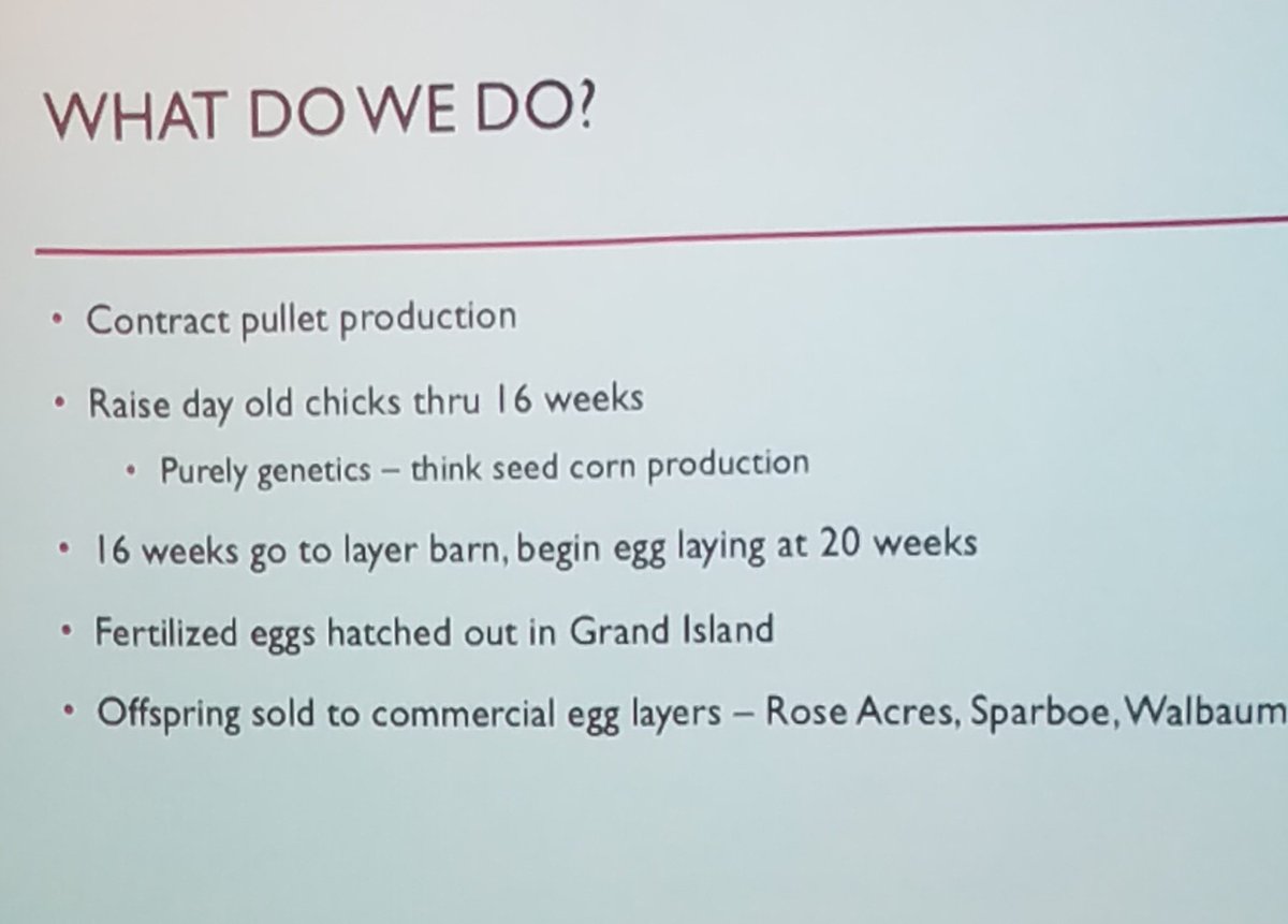 JimHoffmann23's tweet photo. The hard working Jason Purdue gave the York Sunrise #Sertoma program this morning. The family has a contract for #pullet production raising one day old chicks through 16 weeks. Great to have these #entrepreneurs in York County. https://t.co/uvnalGD0kQ