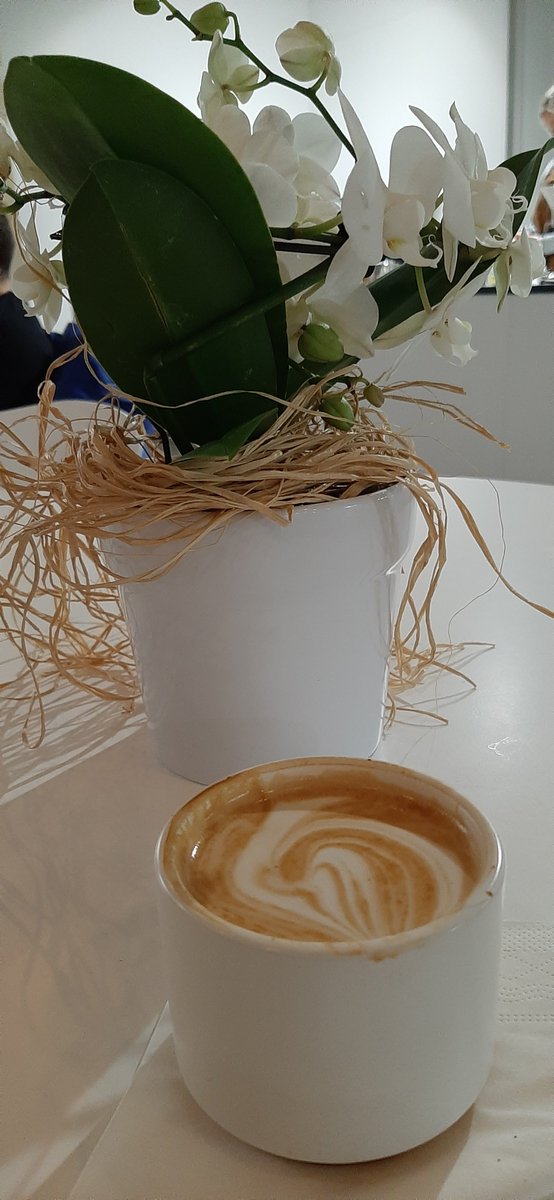 MaipuMaire's tweet photo. 🌹SAKARI'n pv'n ti kaffet #MakeaCoffee'ssa☕🍪👌🏼
Nuutin pv'n 13.pv☕t myös😉
Kahvila avattiin13.12.Lucian pv'nä #Lpr #keskusta👍🏼
Hyv'keskivkoa🤗@IrmeliKaija @PulmuM @JohannaKukka @annelitiainen1 @maija_ku @TiinaAiraksinen @minlaulai @kolmetoivetta https://t.co/F86AfKB2aA