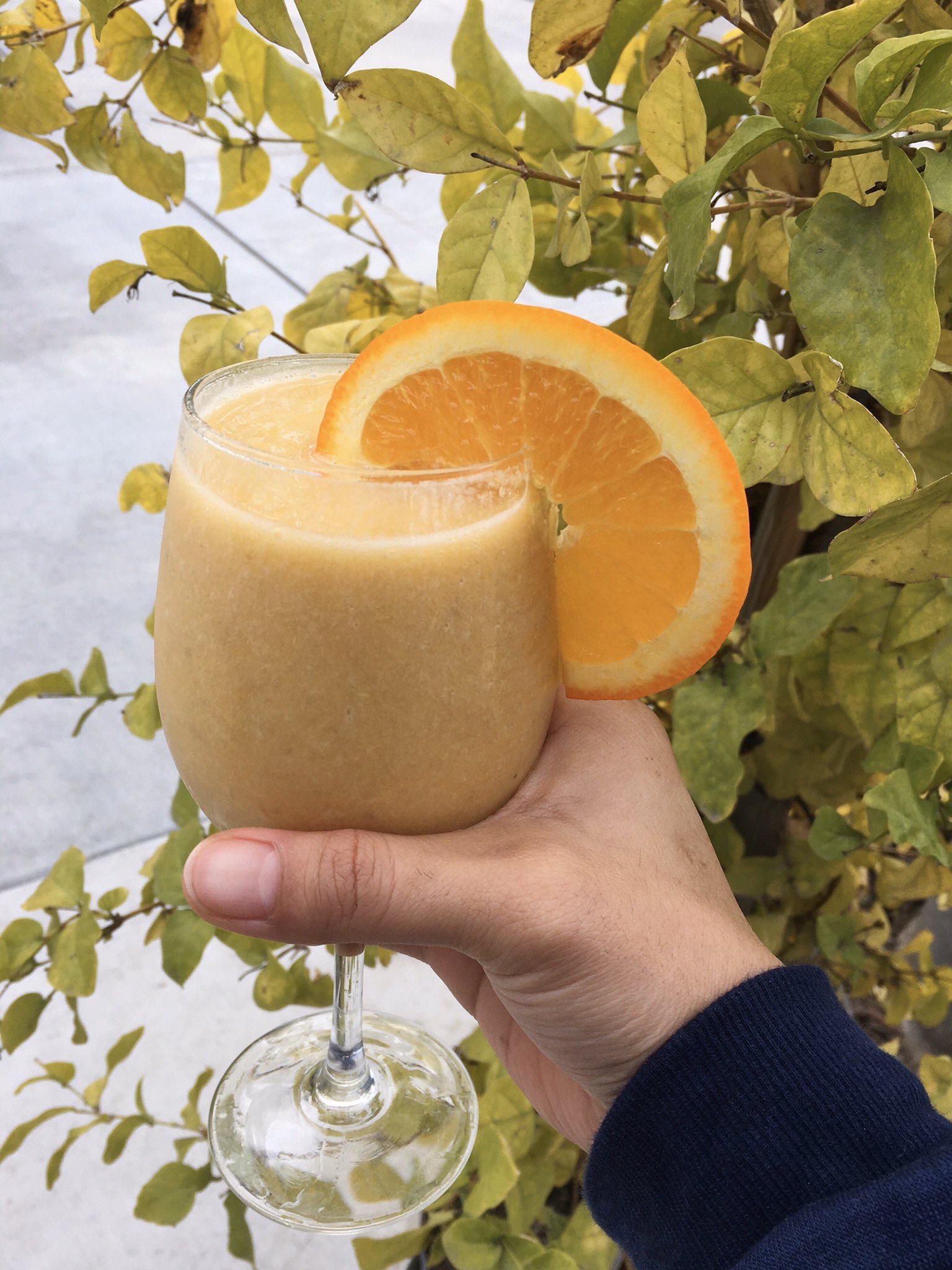 vegan chef guy on X: A fine ass smoothie on this fine ass day.  t.coPdUkG27kPr  X