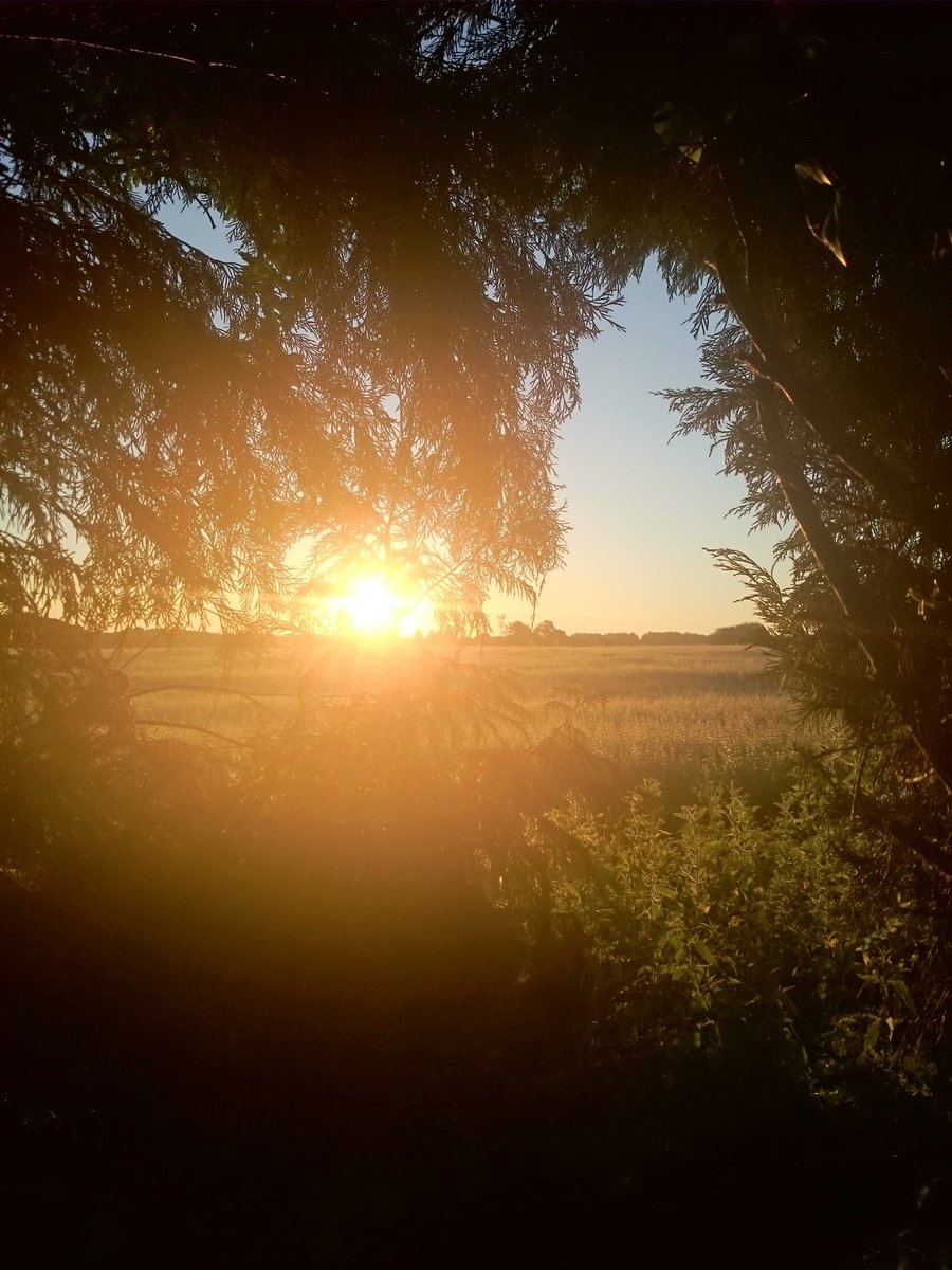 natepix1's tweet photo. 🎶Hoo-oo ha-a ha-a hoo-oo
Precious moments
When will I see you again
When will we share precious moments
Will I have to wait forever
Will I have to suffer
And cry the whole night trough?🎶
🌞🌤️🙏🌄❣️🌄🙏🌤️🌞
#Sunshine #BlueSkies #HappyDays 
#WeNeedSpring #StormHour #ThePhotoHour https://t.co/D4shitM6ao