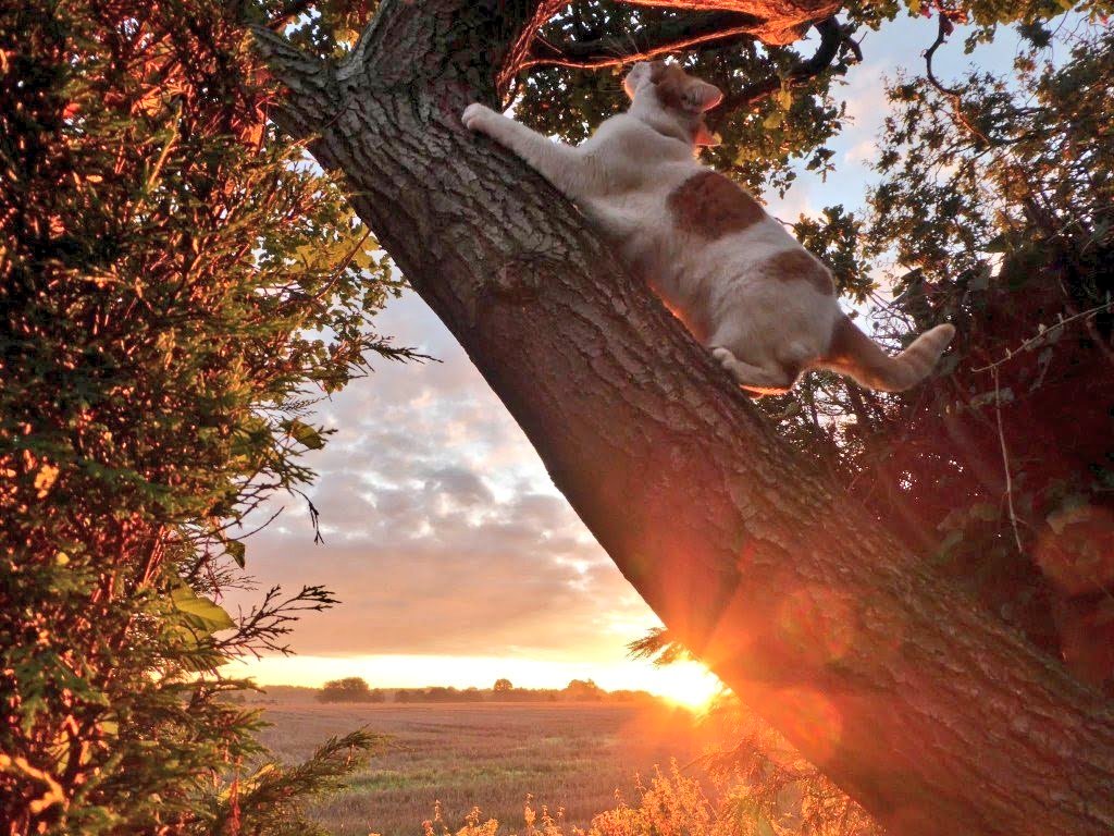 natepix1's tweet photo. 🎶Hoo-oo ha-a ha-a hoo-oo
Precious moments
When will I see you again
When will we share precious moments
Will I have to wait forever
Will I have to suffer
And cry the whole night trough?🎶
🌞🌤️🙏🌄❣️🌄🙏🌤️🌞
#Sunshine #BlueSkies #HappyDays 
#WeNeedSpring #StormHour #ThePhotoHour https://t.co/D4shitM6ao