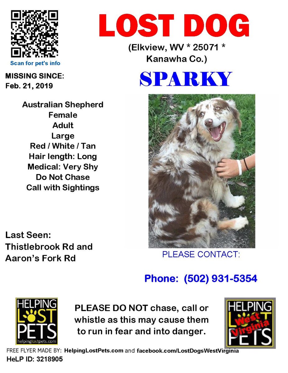 maggie_moon73's tweet photo. #lostdog #Sparky #Elkview #WV #Kanawha Co. Female #Australian Shepherd Red/White/Tan/Skittish, L eye is brown and R eye has a blue/green spot with brownish color.
CONTACT Phone: (502) 931-5354
More Info, Photos and to Contact: https://t.co/gQ37dCqOug https://t.co/4N9yNfnEdL