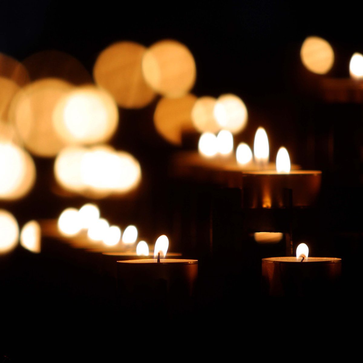 UWaterlooPres's tweet photo. Tomorrow @UWaterloo will be holding a memorial event and joining a Canada-wide moment of silence to honour and celebrate the lives of those who died in the crash of Ukrainian International Airlines Flight PS752. https://t.co/eVIv0il4Q0 https://t.co/R1NdJhRNqb