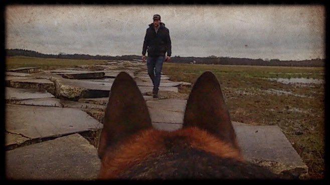 BjdeV1's tweet photo. DJI OSMO ACTION || Point of View German Shepherd || ROCKSTEADY || 4K https://t.co/jYLk7XC4nA  @DJIGlobal @DJISupport https://t.co/0JtUoG3BLB