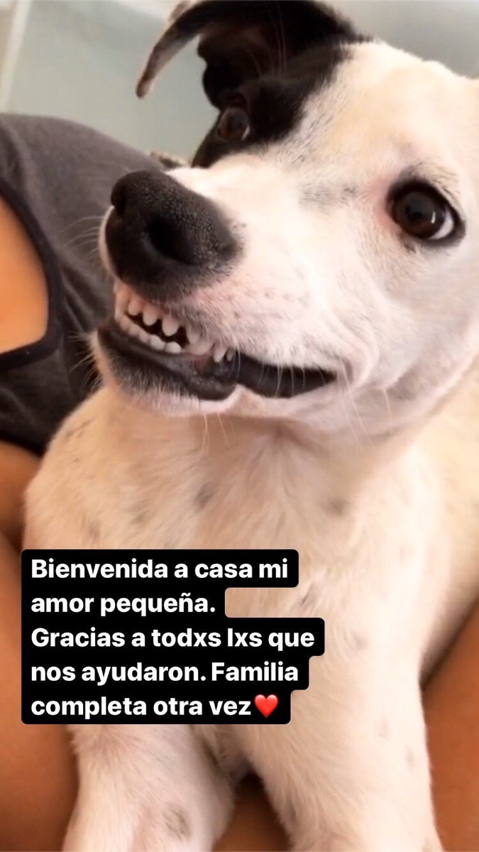danilu1994's tweet photo. De vuelta a casa! Gracias a todos los que nos ayudaron. https://t.co/gcAJMaOBqF