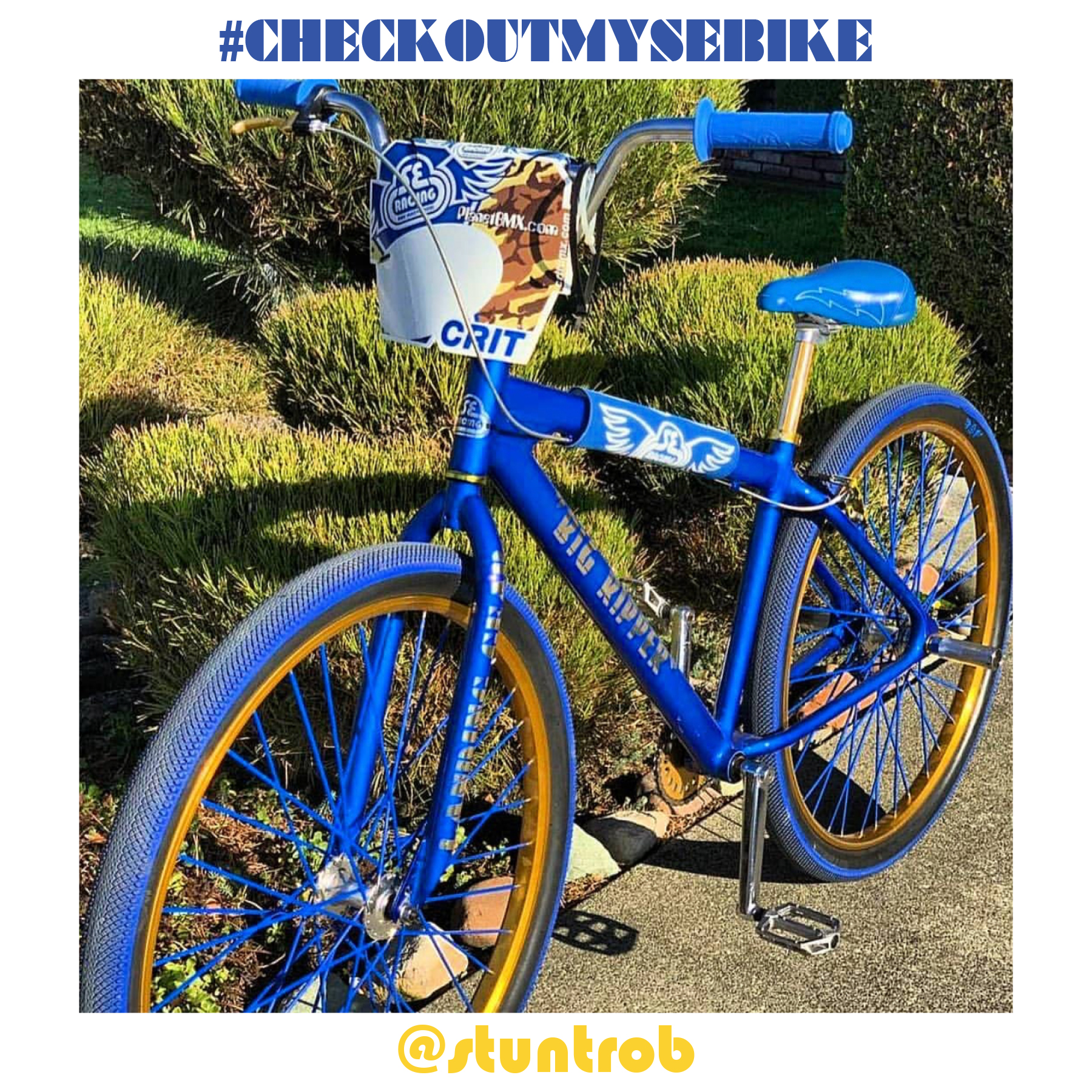 Gold se cheap bike