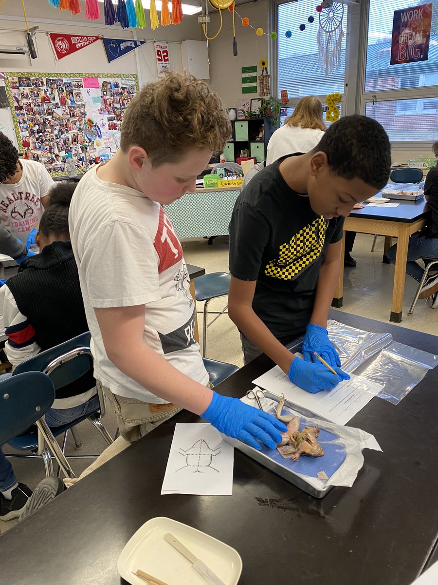 MsHarmon44's tweet photo. Would like to give a shout out to these two helpful 8th graders who took the time out of their day (most of their lunch period) to offer me their help in guiding one of my classes through the dissection intro,
It made my day! ππ #GotCharacter? #PembertonProud https://t.co/z3lq9nsjuc