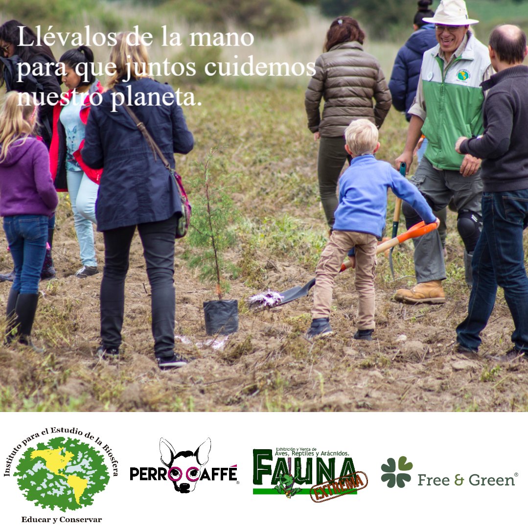 ipebiosfera's tweet photo. Y que nos vamos a reforestar la Malinche.
#reforestacion #forest #family #kids #mailnche https://t.co/mH4NDEEICl