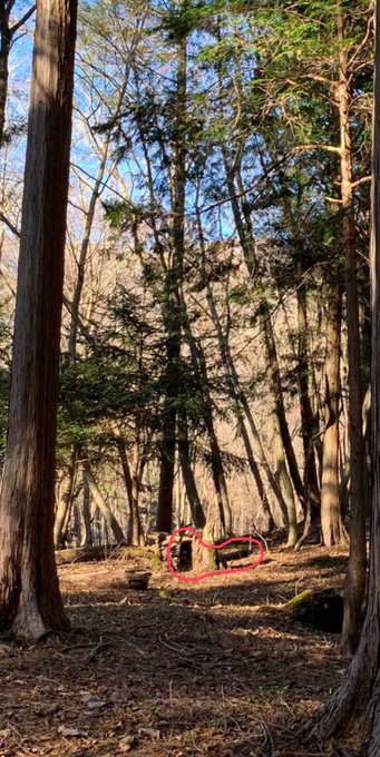 Twitterのコスプレ画像40