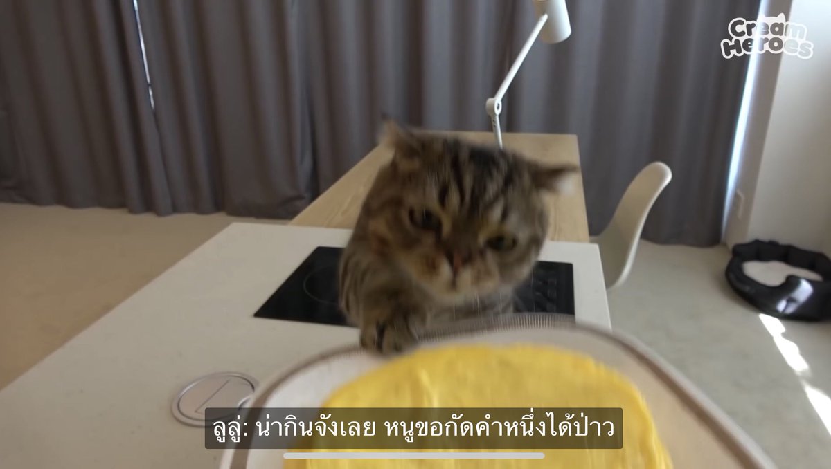 ppinkqx's tweet photo. ฮรือชั้นน่ะชอบลูลู่มากจริงๆ อ่อมม่าทำแพนเค้กไข่เจียวอยู่ นางก็วอแวไม่หยุด นุขอคำนึง นุจะกินอะ ละคือกินทุกอย่างตั้งแต่รถ ยาเพื่อน ไมค์ กล้องอะ  55555555555555555555555555555555555555555555555555555555555555555555555555
#กินขอบแก้วให้ดูหน่อย https://t.co/3vxpietdEY