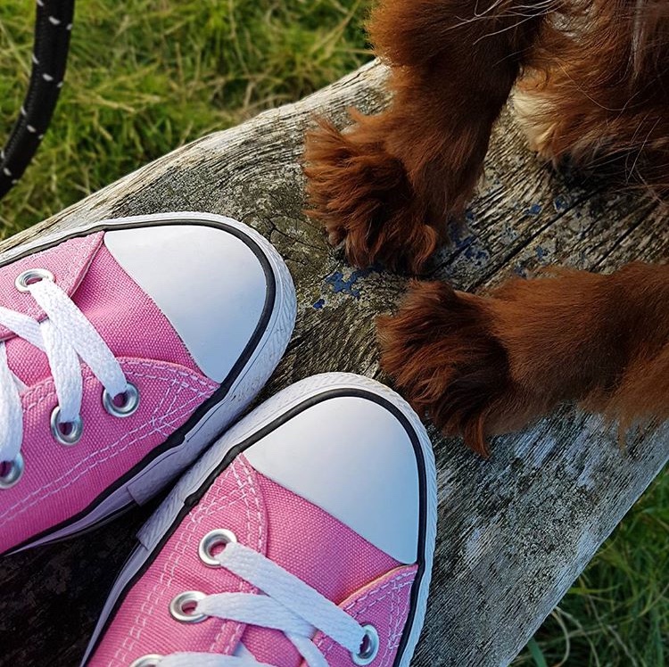 my_waggles's tweet photo. Happy Feet! 🐾 https://t.co/4gduE1d0aC