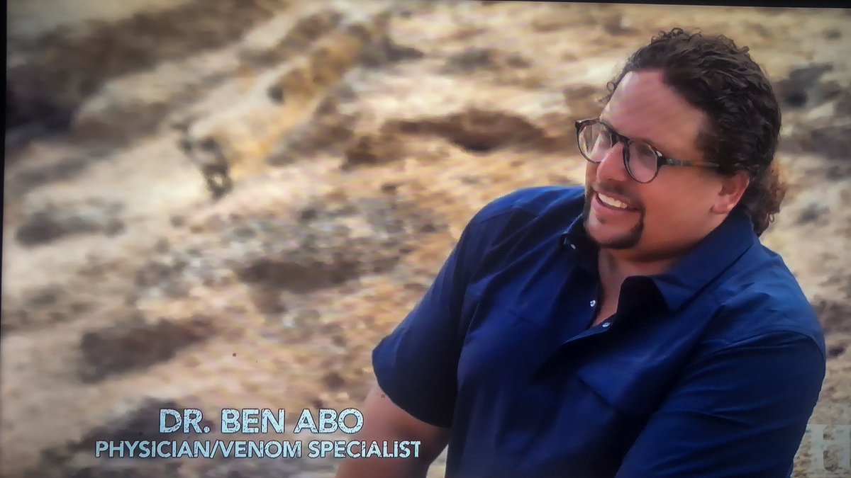 benabo's tweet photo. Proud to be medical director for #kingsofpain even though I also inadvertently got stung! #Backgroundguy #sympathypain #VenomDoc https://t.co/ldVAZT1Dde