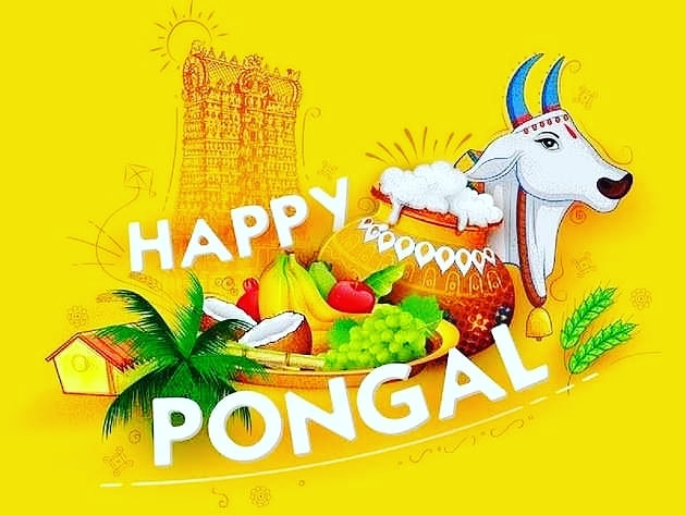 DarkDonRacing's tweet photo. Dark Don Racing Wishes Happy Pongal To All  ! https://t.co/rud2YPuXUs