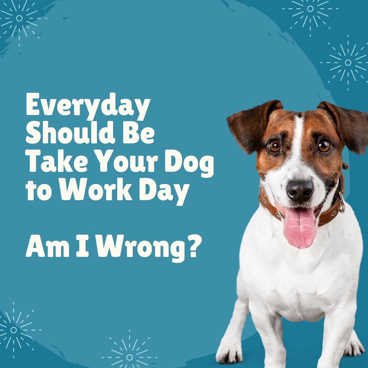 He's not wrong. #threedogbakery #bringyourdogtoworkday