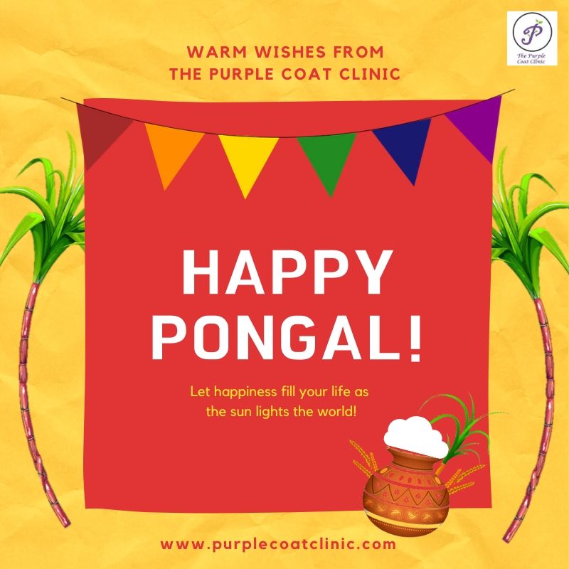 purple_coat's tweet photo. Happy Pongal.  Anaivarukum  Iniya Pongal Nal Vazhthukkal 🙏🙏

#pongal #purplecoatclinic #happypongal2020 #pongal2020 #tamizhputhandu #indianculture #indianfestival #celebrationsinindia #holiday2020 #tamilnewyear2020 #tamilnewyear #homeopathyclinicpune #homeopathyinpune #Pune https://t.co/0RztWg4tUR