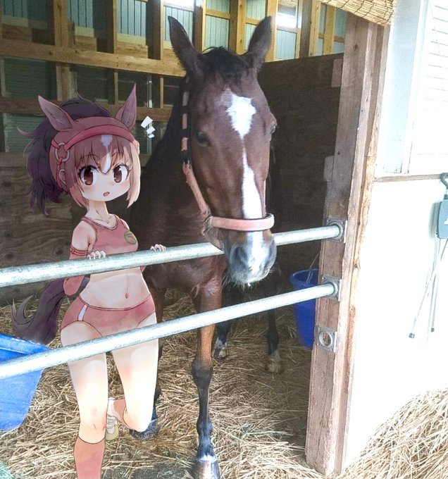 曉繪碧 星の砂收集中さん がハッシュタグ けものフレンズ をつけたツイート一覧 2 Whotwi グラフィカルtwitter分析