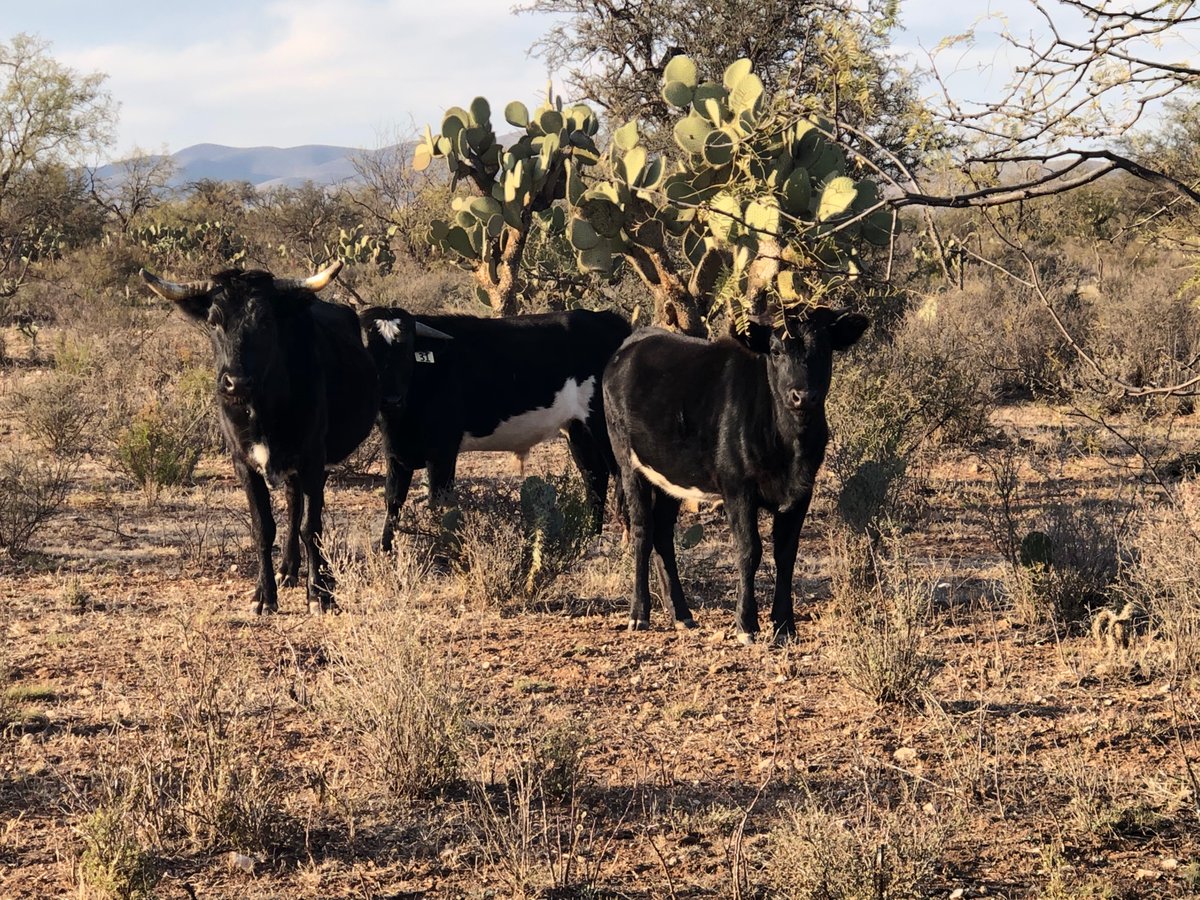 Mi lugar especial! 👌
4hdsadt