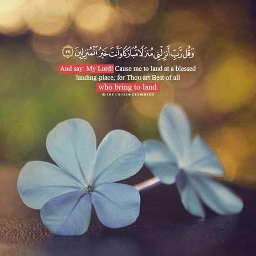 Eŀ Sayed Fekry ⁦⁦🎏 tweet media