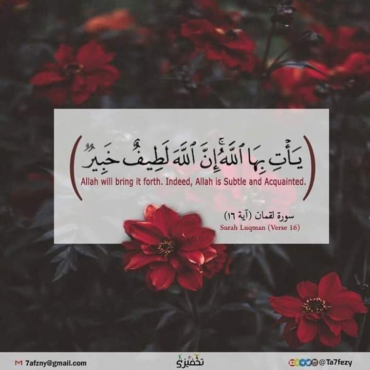 Eŀ Sayed Fekry ⁦⁦🎏 tweet media
