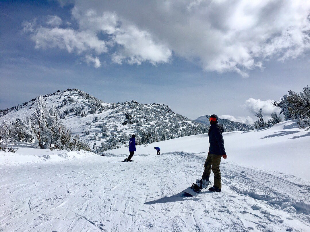 Bethany Gerhardt tweet media